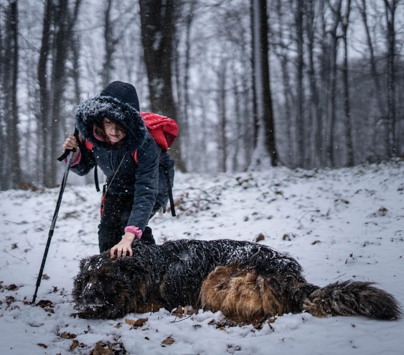 473320886_1126919895701109_3224720902640633217_n