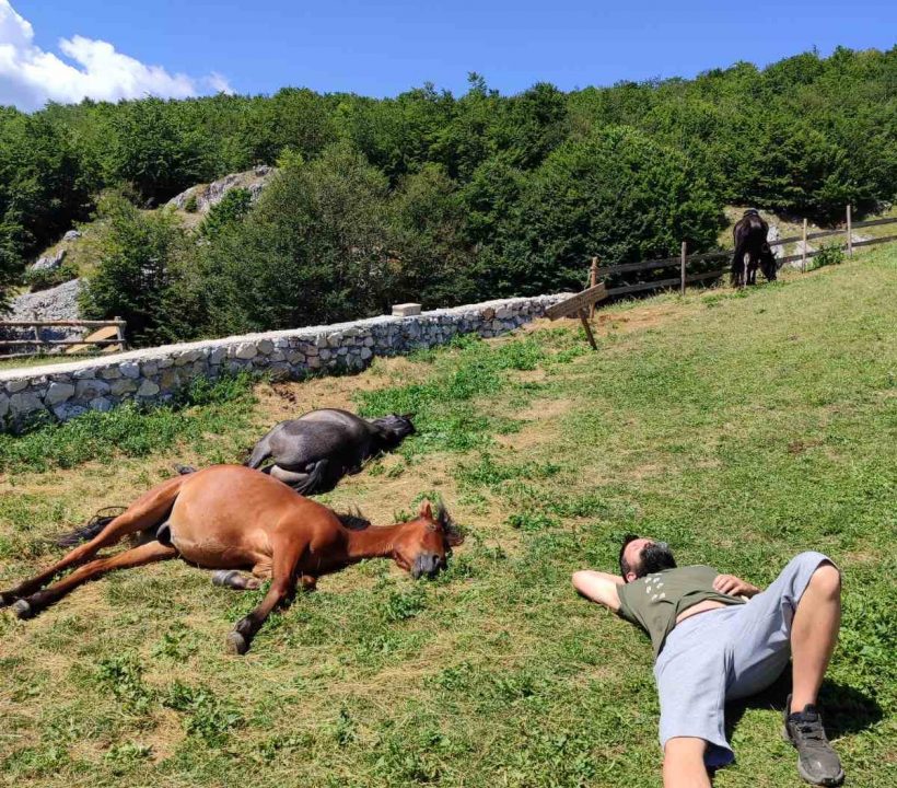 490703359_1225226012941292_6879248923393572011_n