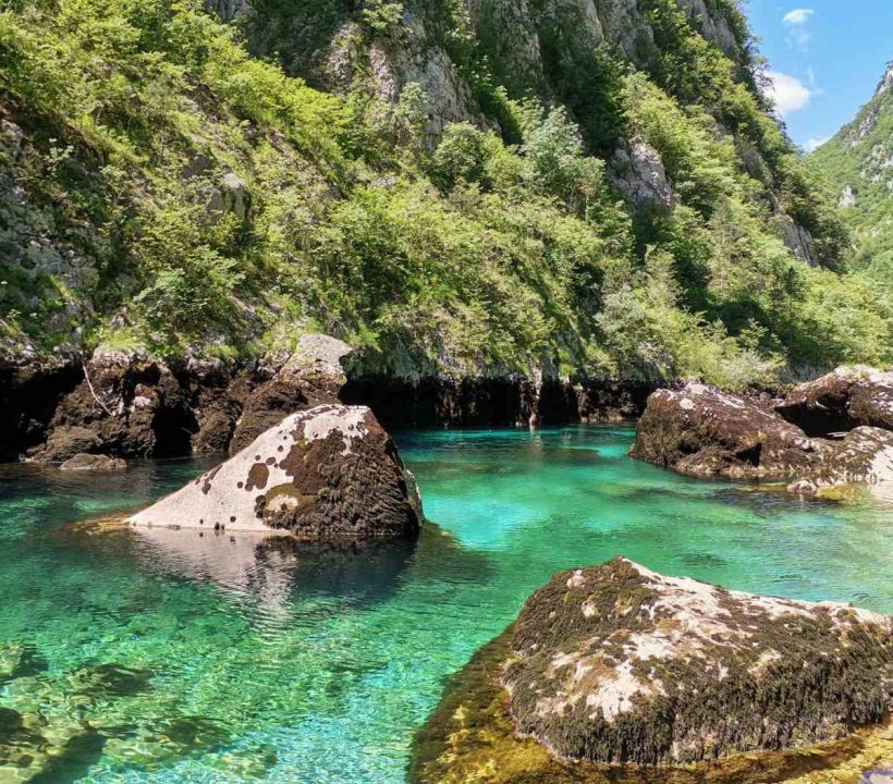 502576768_1267171032080123_6443272693283040673_n